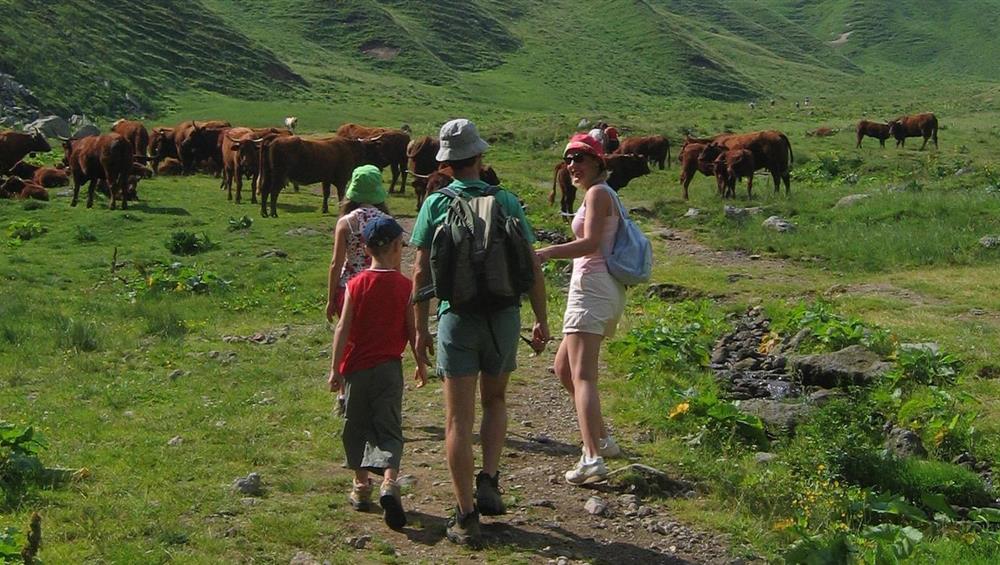 Super Besse - Aventure en Famille : Découverte de la Faune et la Flore du Mont Dore 