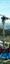 Remontée de la Falaise : Arrivée Imminente - Vue Panoramique